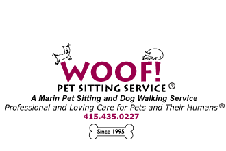 Woof! Pet Sitting Service